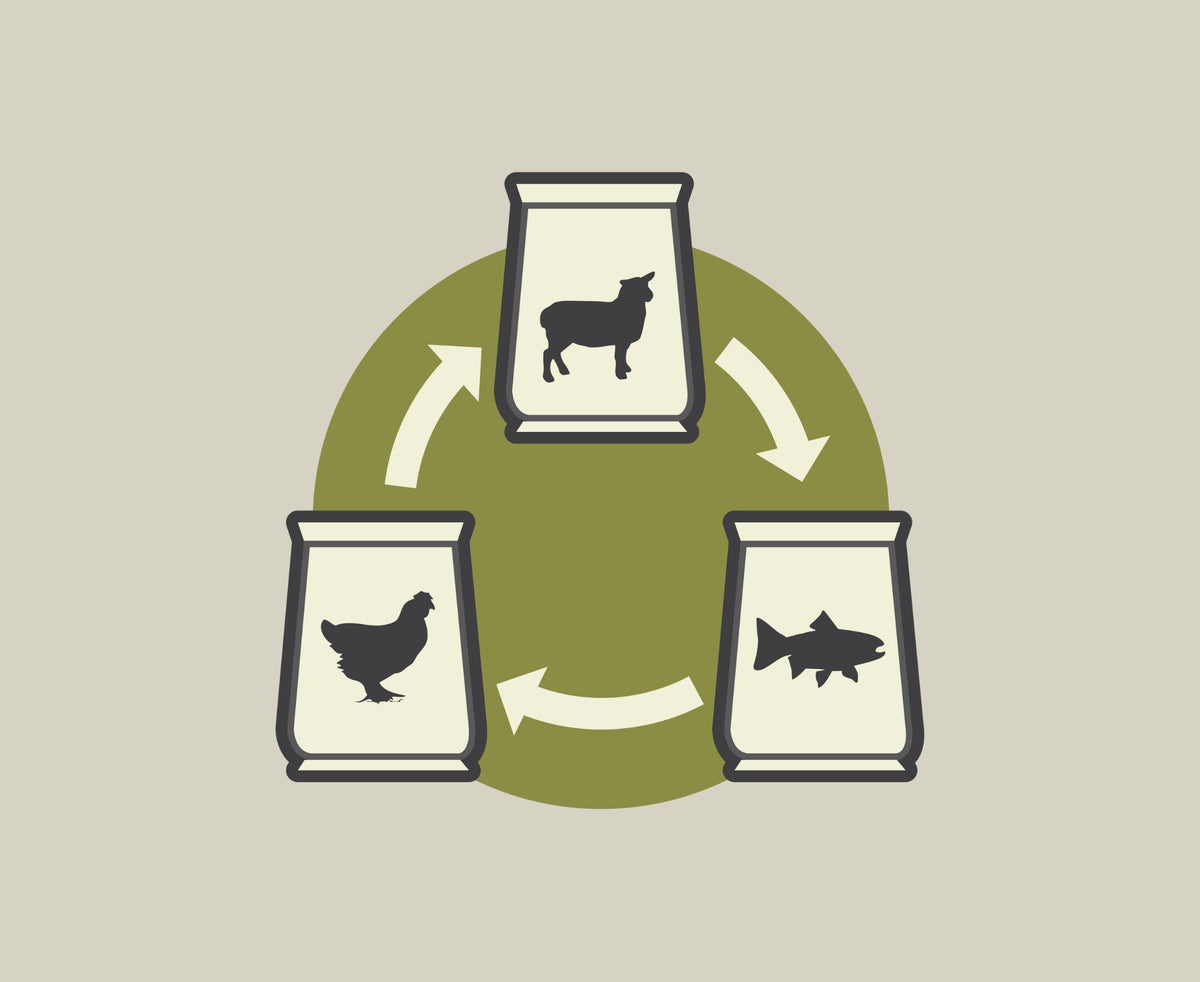 Rotational Feeding for Dogs and Cats: Why Variety Matters