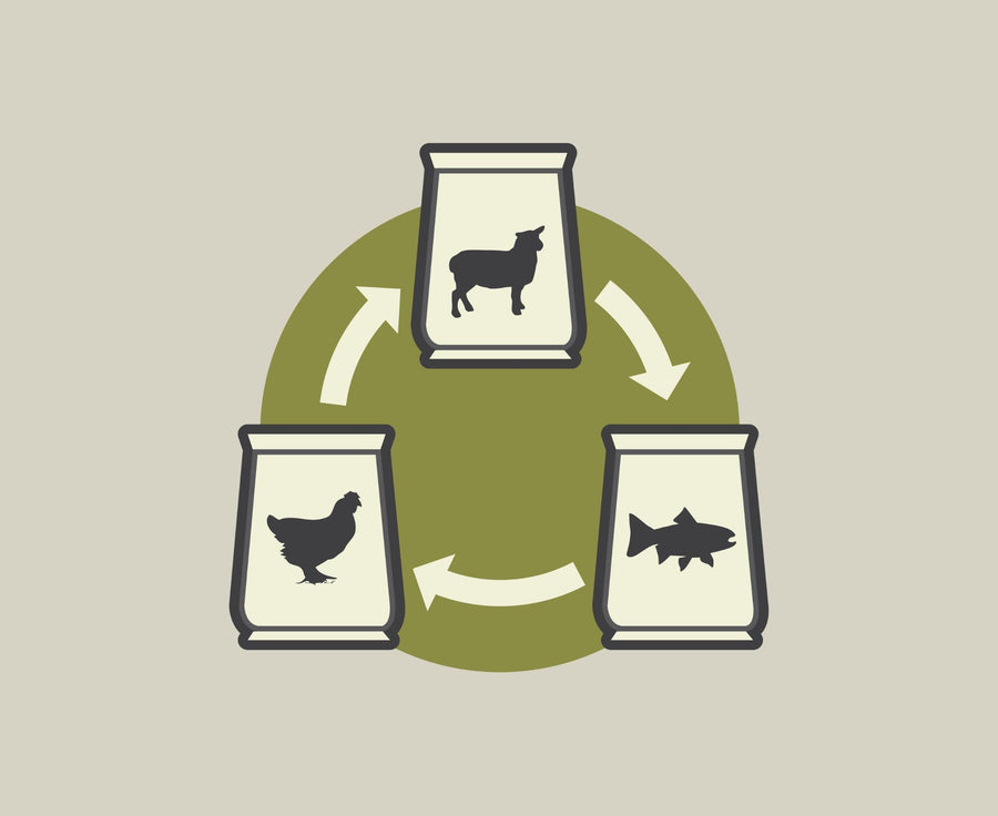 Rotational Feeding for Dogs and Cats: Why Variety Matters