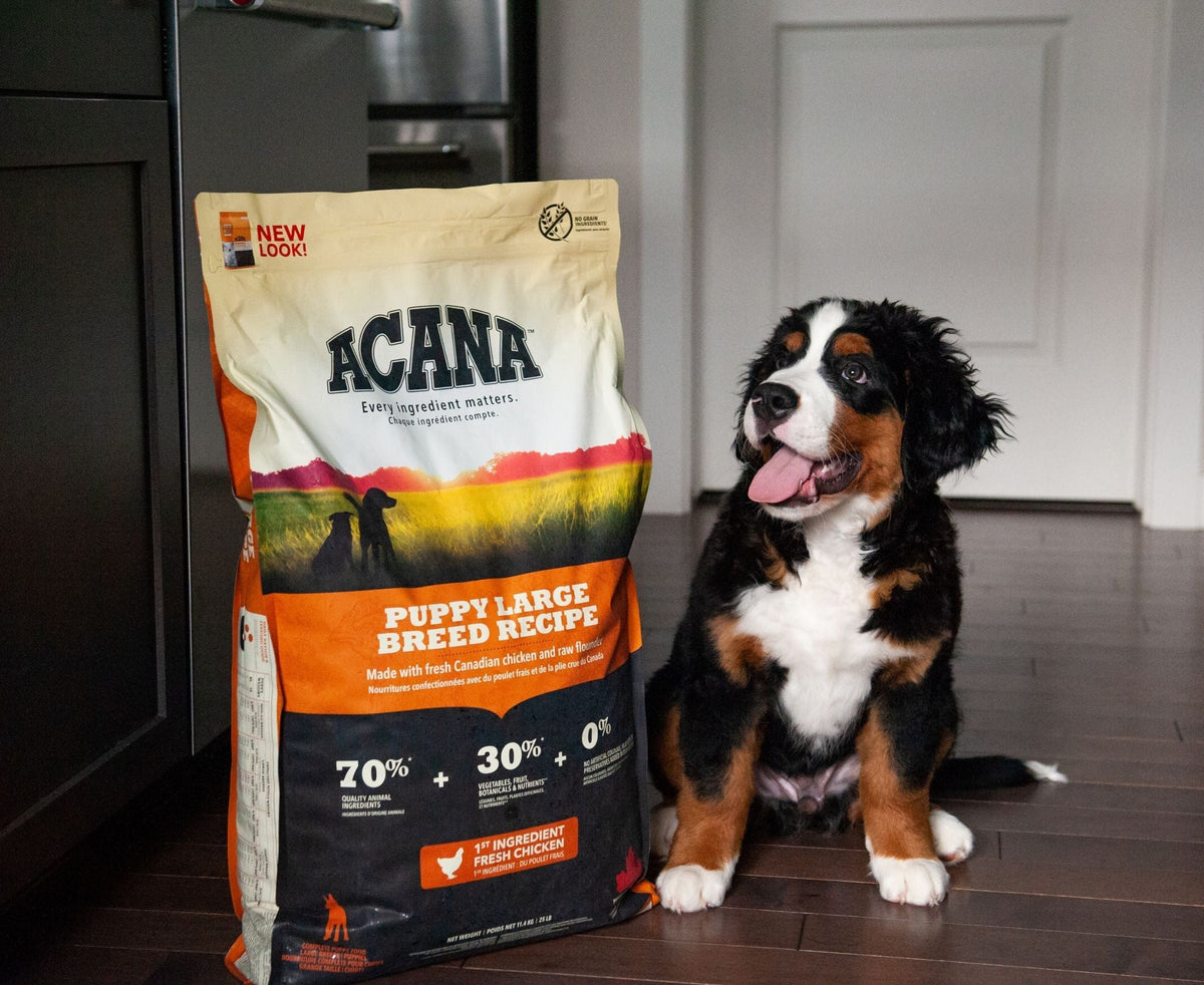 large breed puppy with ACANA food
