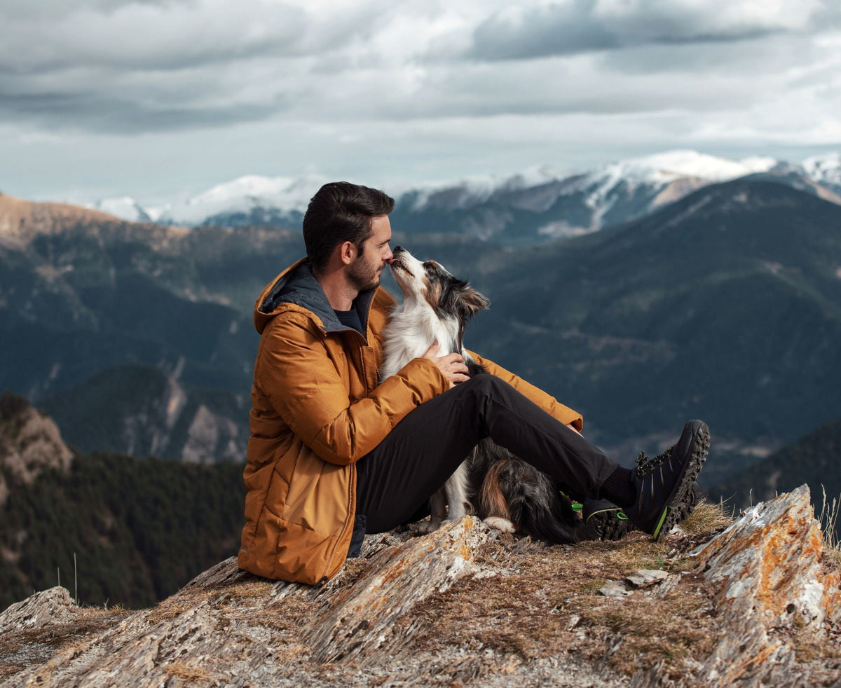 Protecting Your Dog’s Joints This Winter: Essential Tips for Every Life Stage