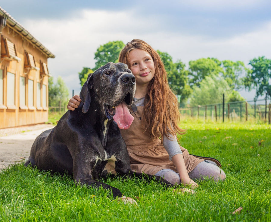 Supporting Your Senior Dog’s Health with ORIJEN & ACANA
