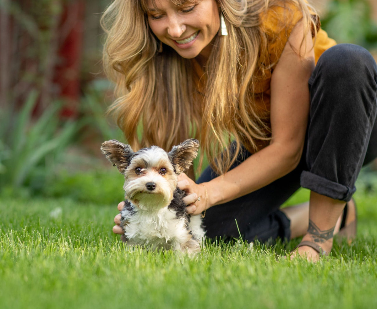 woman playing with small breed dog nz