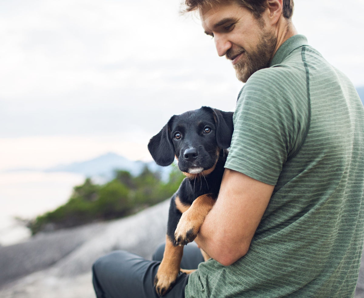 man holding cute black puppy