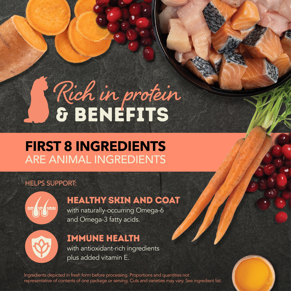 ACANA Salmon & Chicken Recipe in Broth