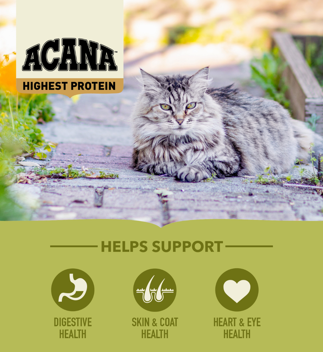 ACANA Highest Protein Grasslands Cat