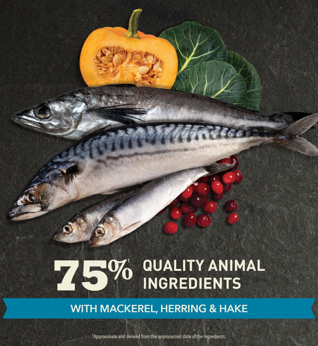 ACANA Highest Protein Pacifica Cat