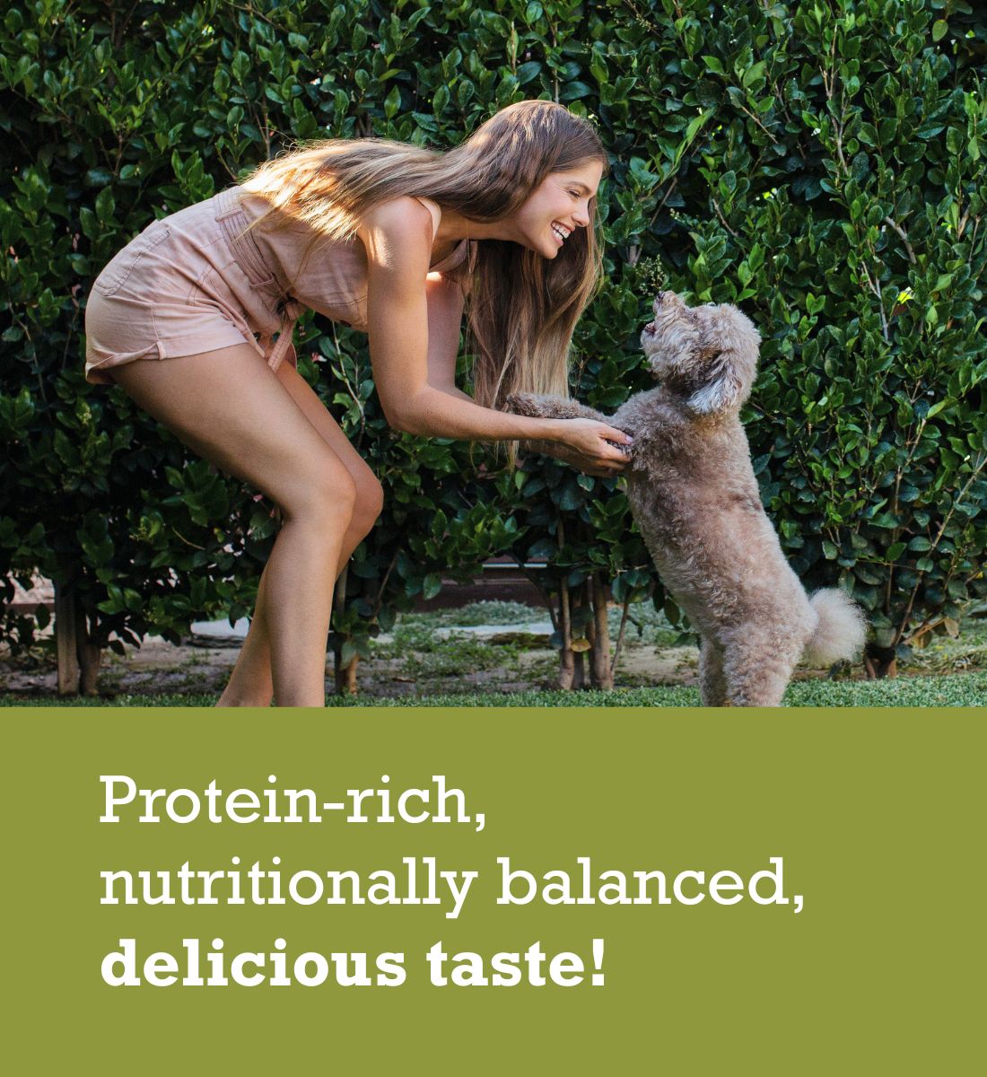 ACANA Adult Small Breed Recipe