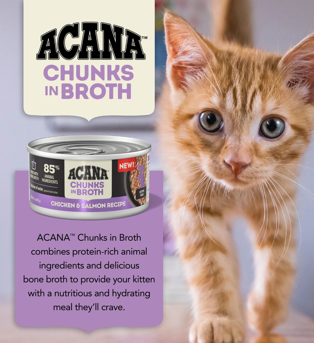 ACANA Chicken & Salmon Recipe in Broth Kitten Food