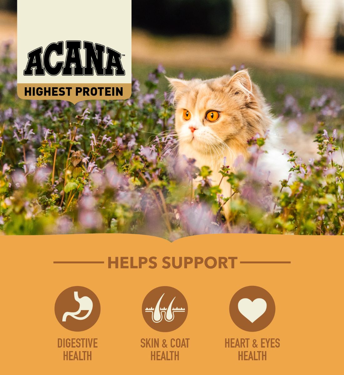 ACANA Highest Protein Wild Prairie Cat