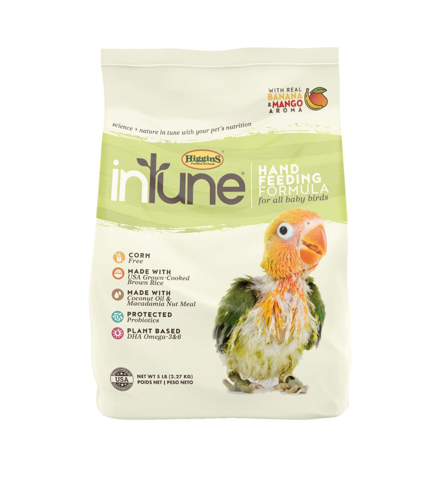 Intune Natural - Handfeeding Formula For All Birds