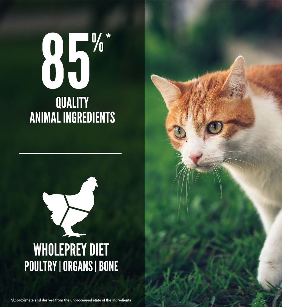 ORIJEN Fit & Trim Cat
