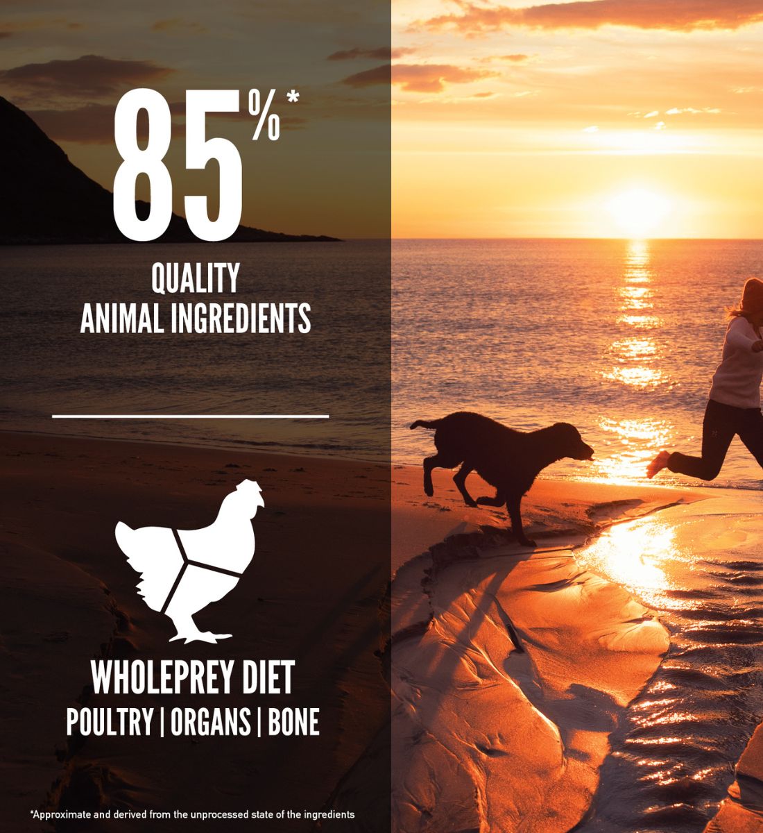 ORIJEN Fit & Trim Dog