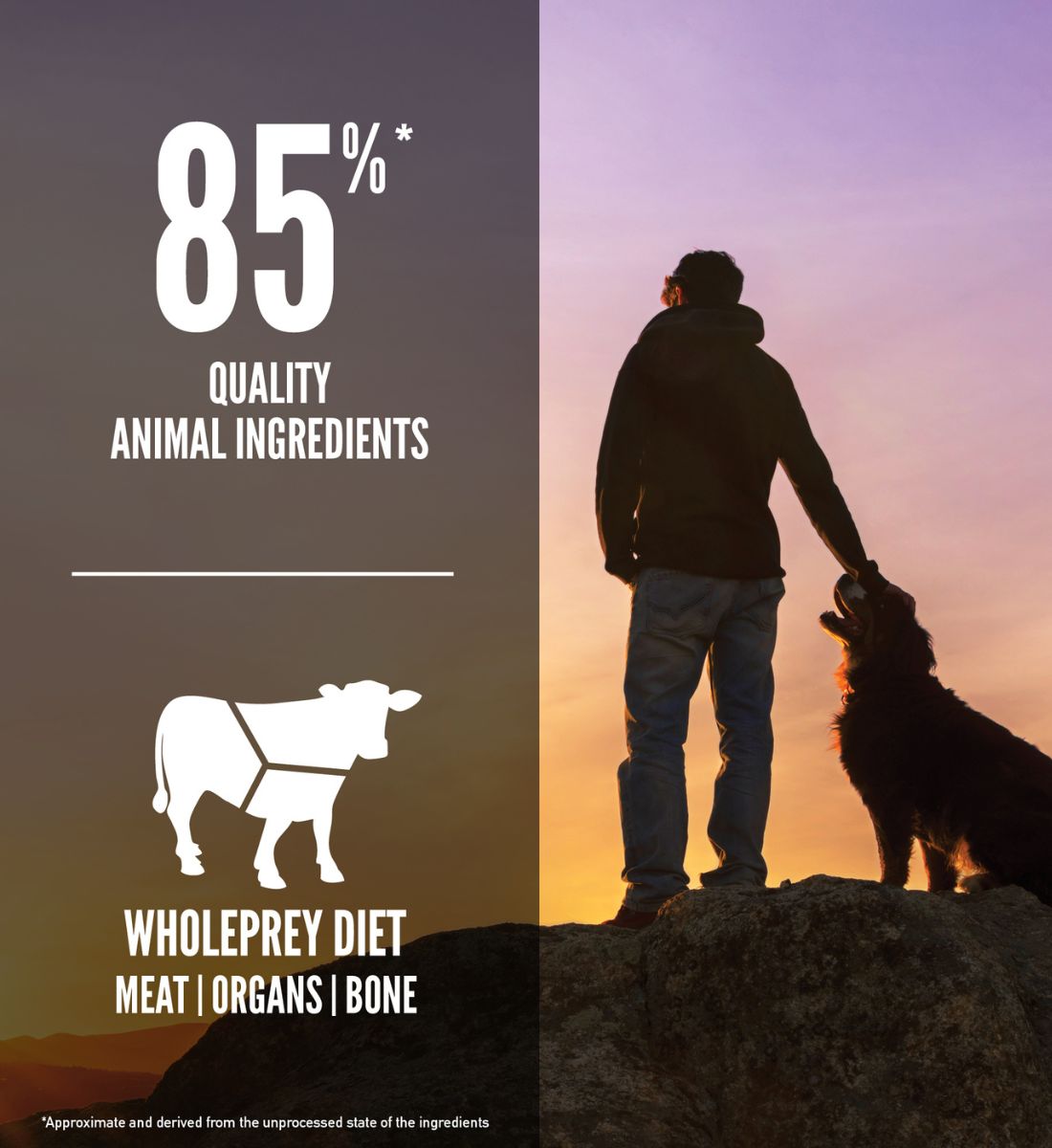 ORIJEN Regional Red Dog