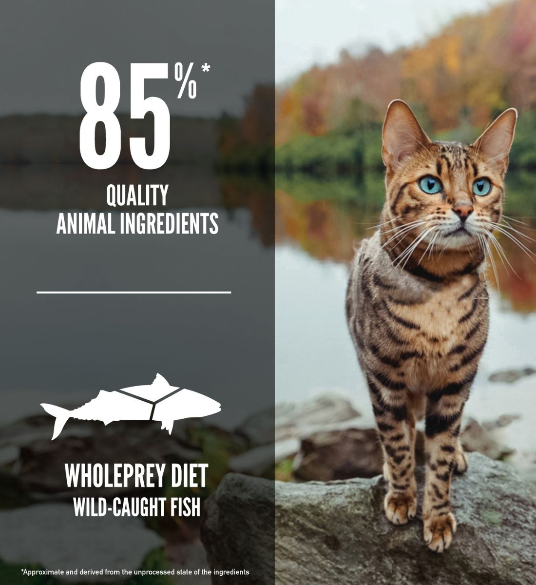 ORIJEN Six Fish Cat
