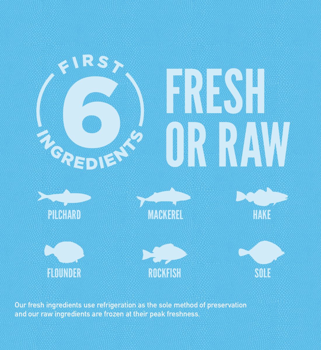 ORIJEN Six Fish Dog