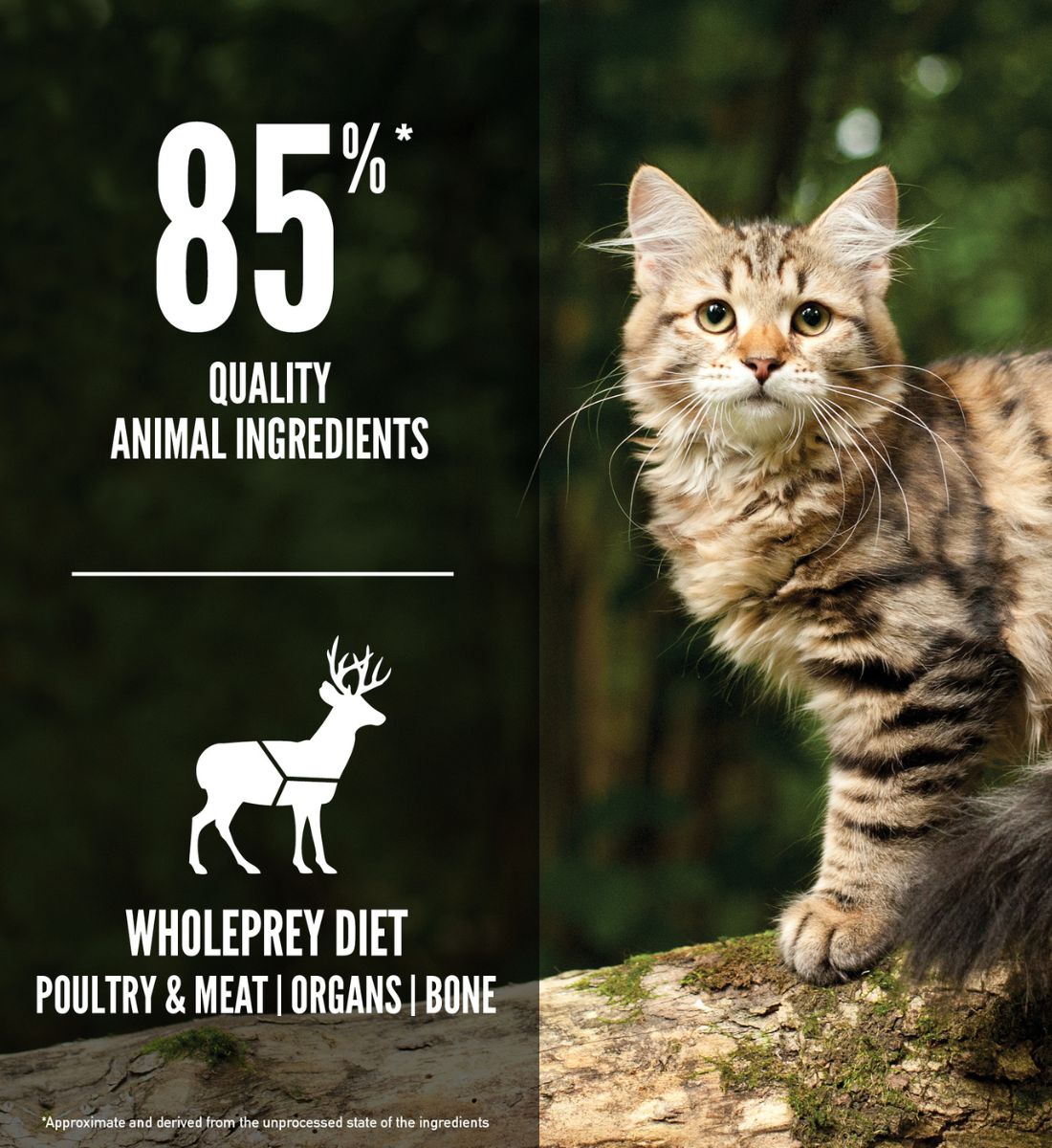 ORIJEN Tundra Cat