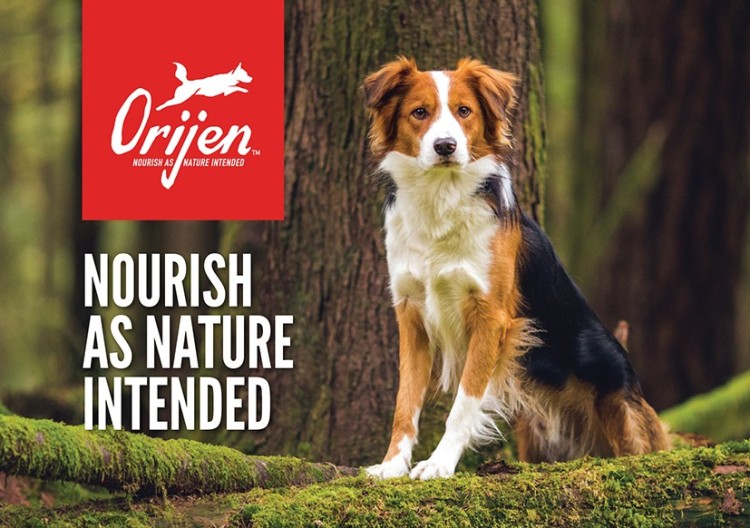 Brochure - Orijen Dog (pack of 20)