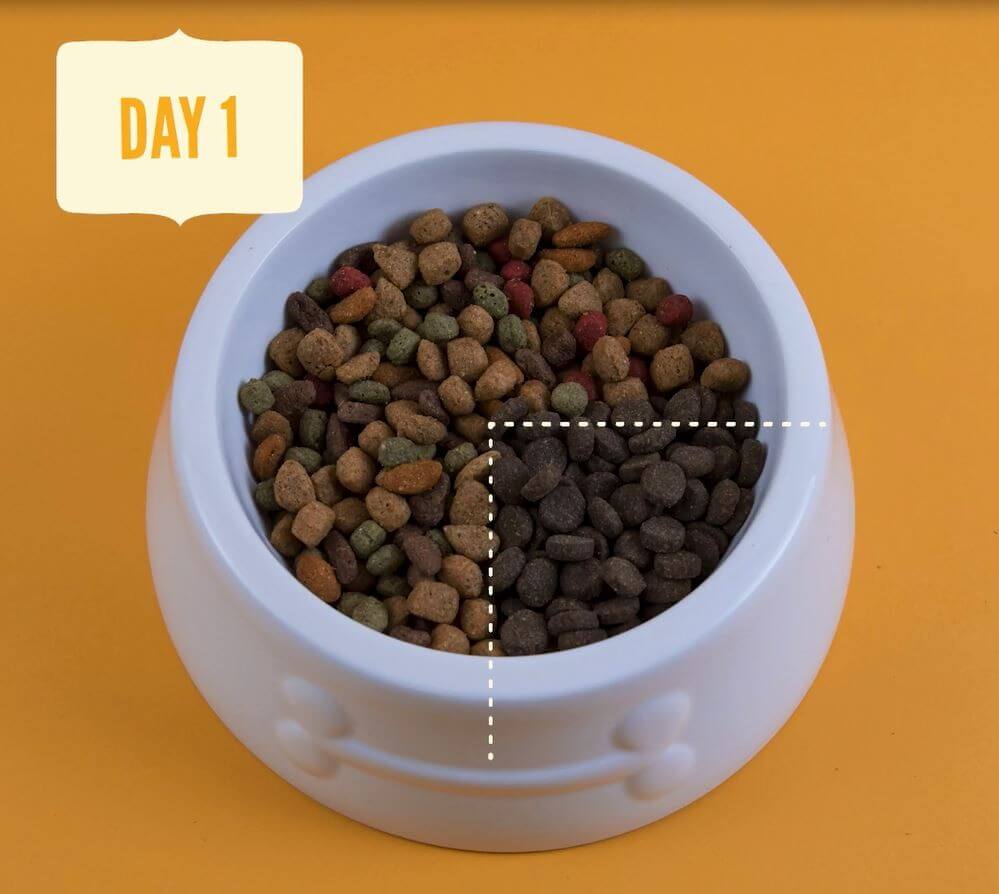 Rotational Feeding for Dogs & Cats: Benefits and How-To Switch